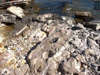 ...e notiamo subito sulla sinistra, impressi sulla bianca scogliera, due fossi che ricalcano la forma di una zampa